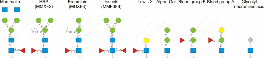 Molecular recognition in health and disease